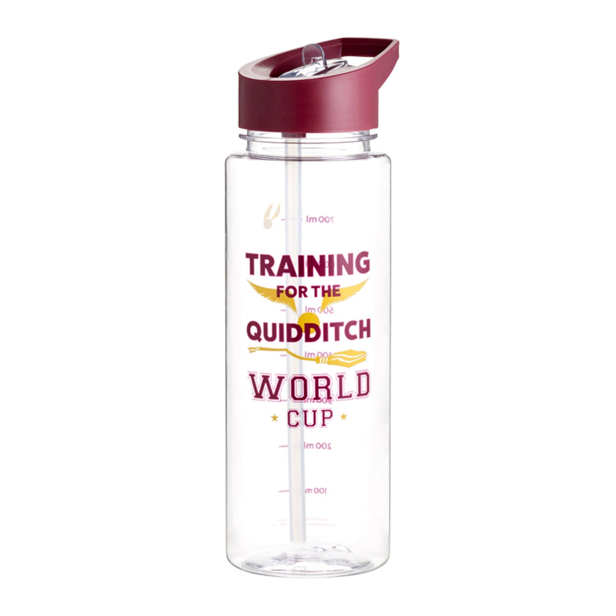 Harry Potter Quidditch Water Bottle 800ml