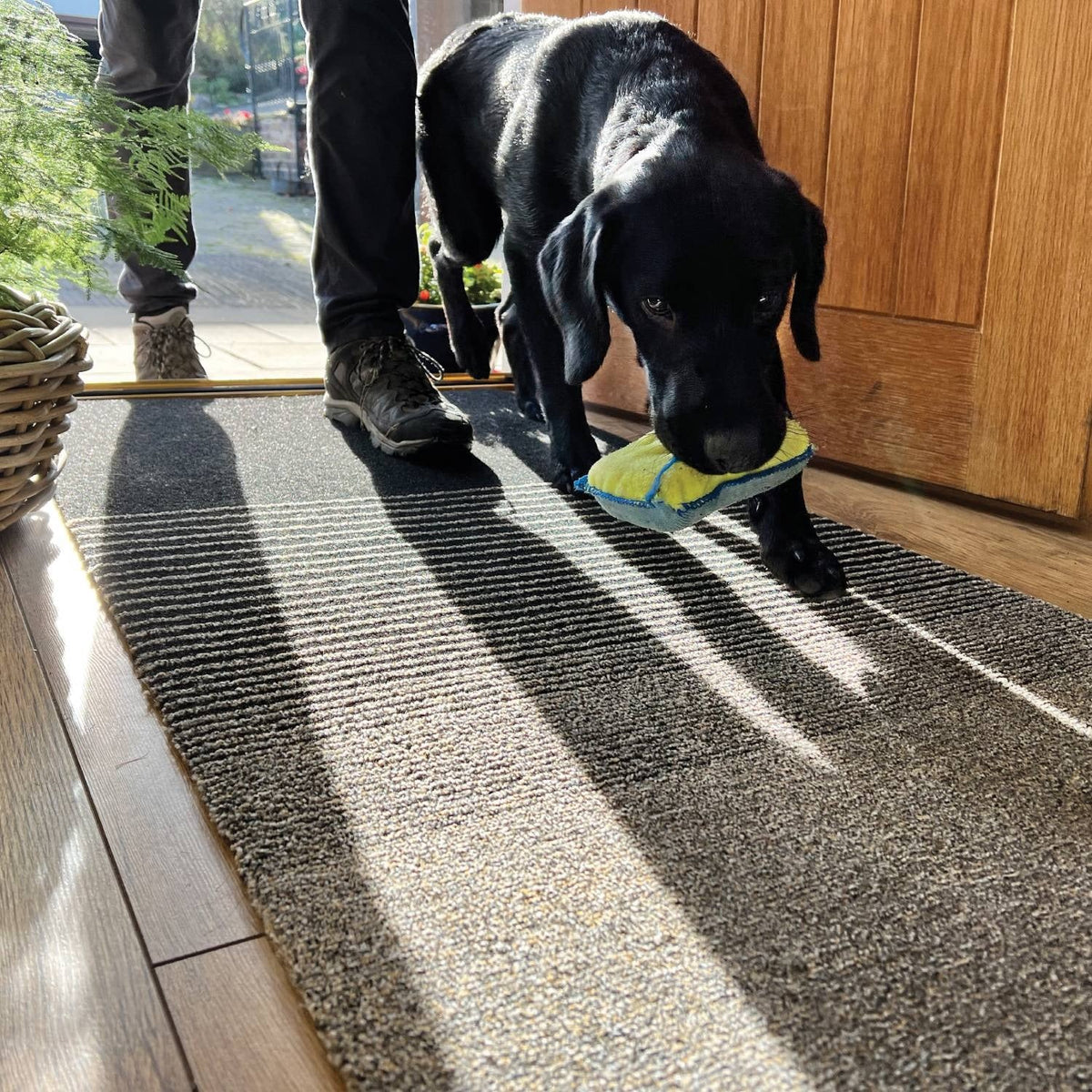 Easy Clean 3-Step Multi Scraper Doormat