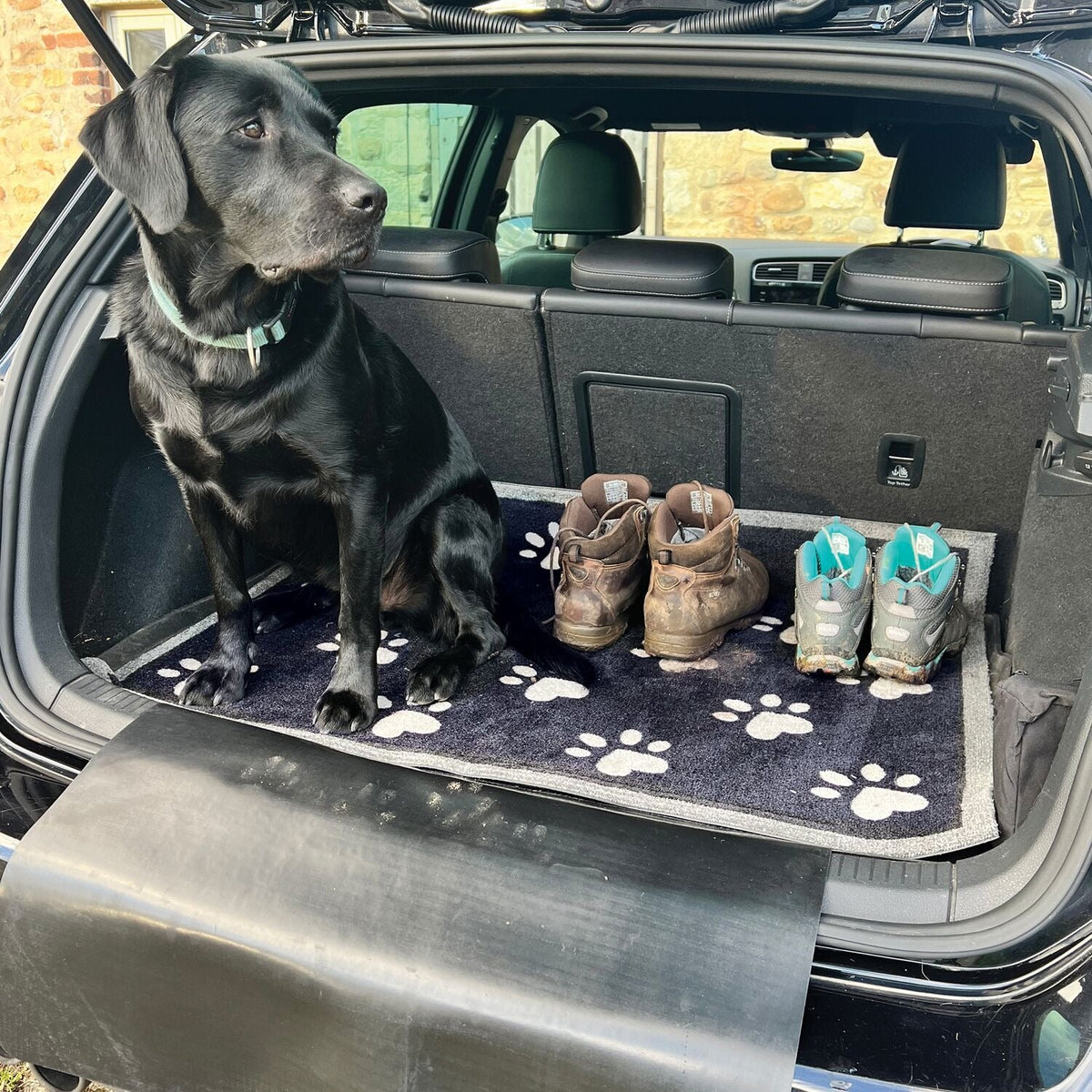 Howler & Scratch Car Mat And Boot Protector