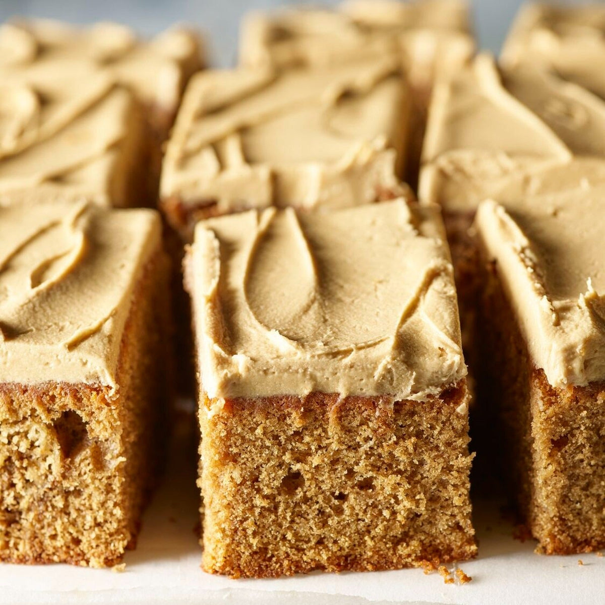 Lakeland Brownie Traybake Tin