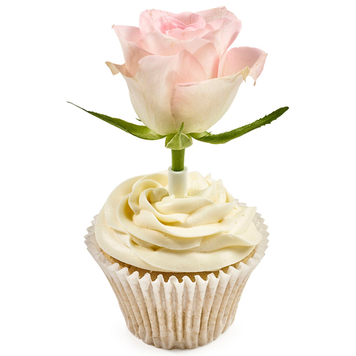 PME Flower Pick Bud Vases For Cakes Medium - Pack of 12
