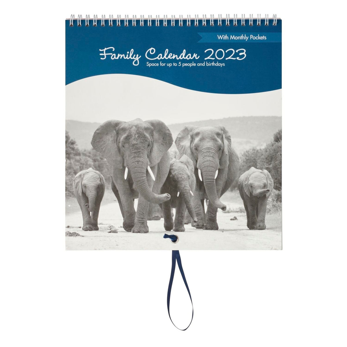 Busy B 2023 Family Calendar