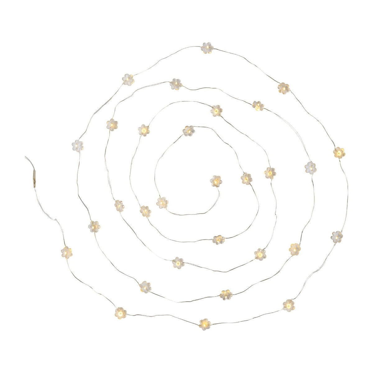 Lakeland Floral String Light