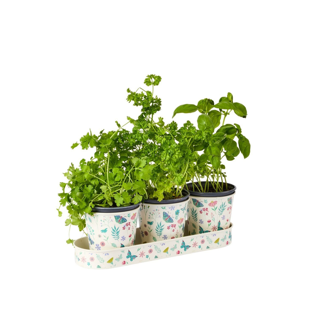 Lakeland Butterfly Garden Small Planters – Set of 3
