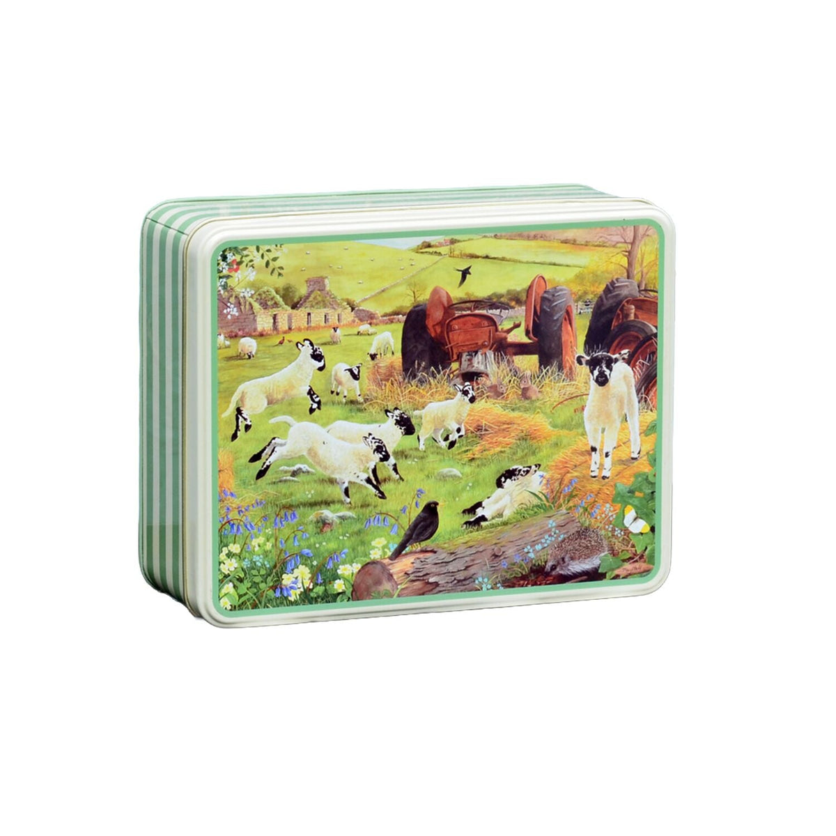 Tracy Hall Woolly Jumpers Biscuit Tin