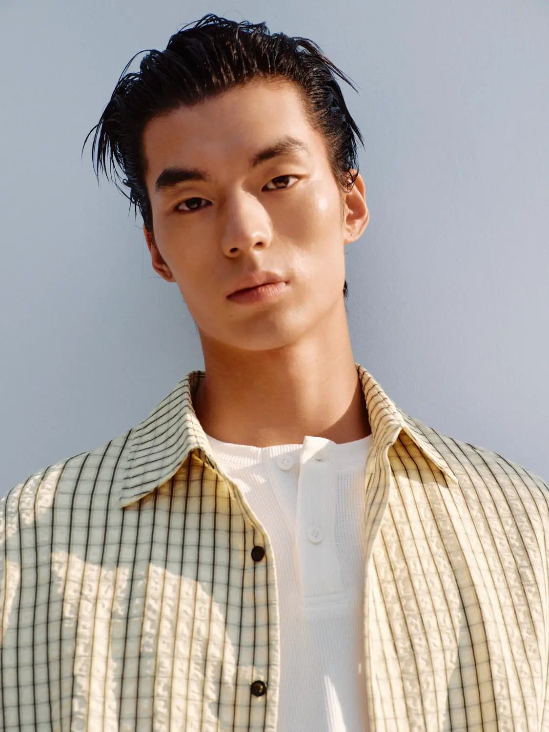 Button-front Checked Regular Shirt Collar Short Sleeve Shirt