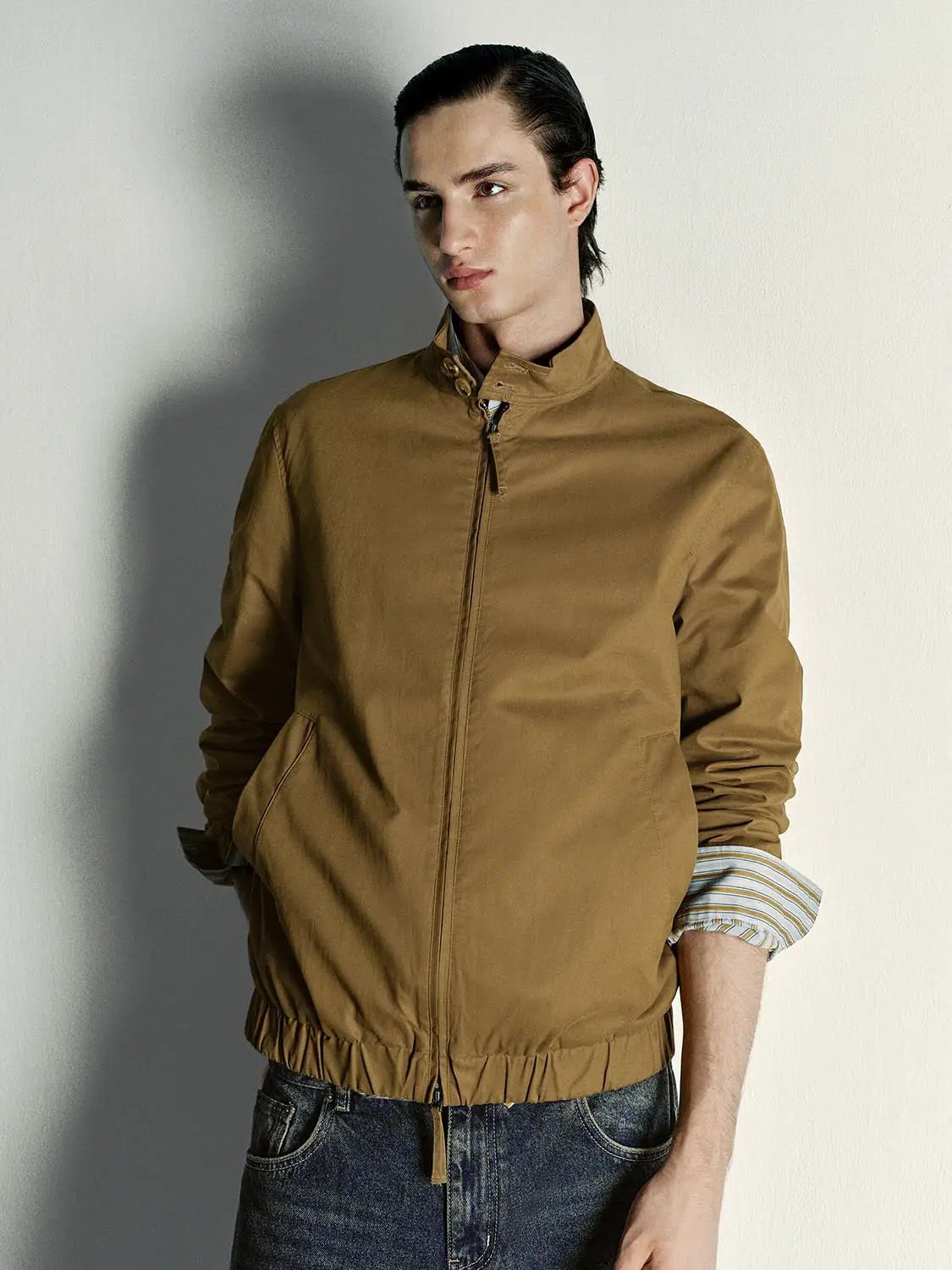 Long Sleeve Cotton Regular Fit Zip Jacket