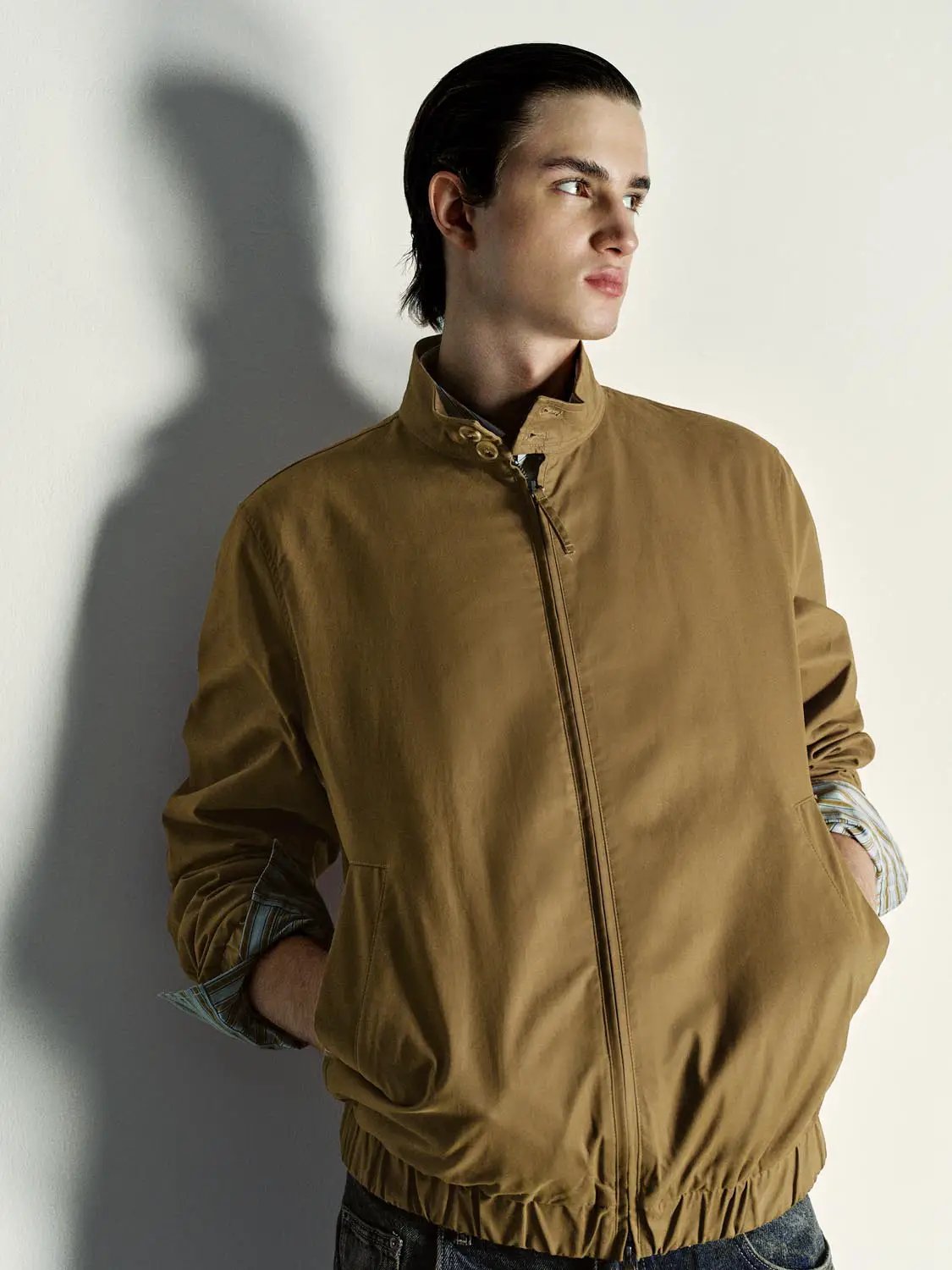 Long Sleeve Cotton Regular Fit Zip Jacket