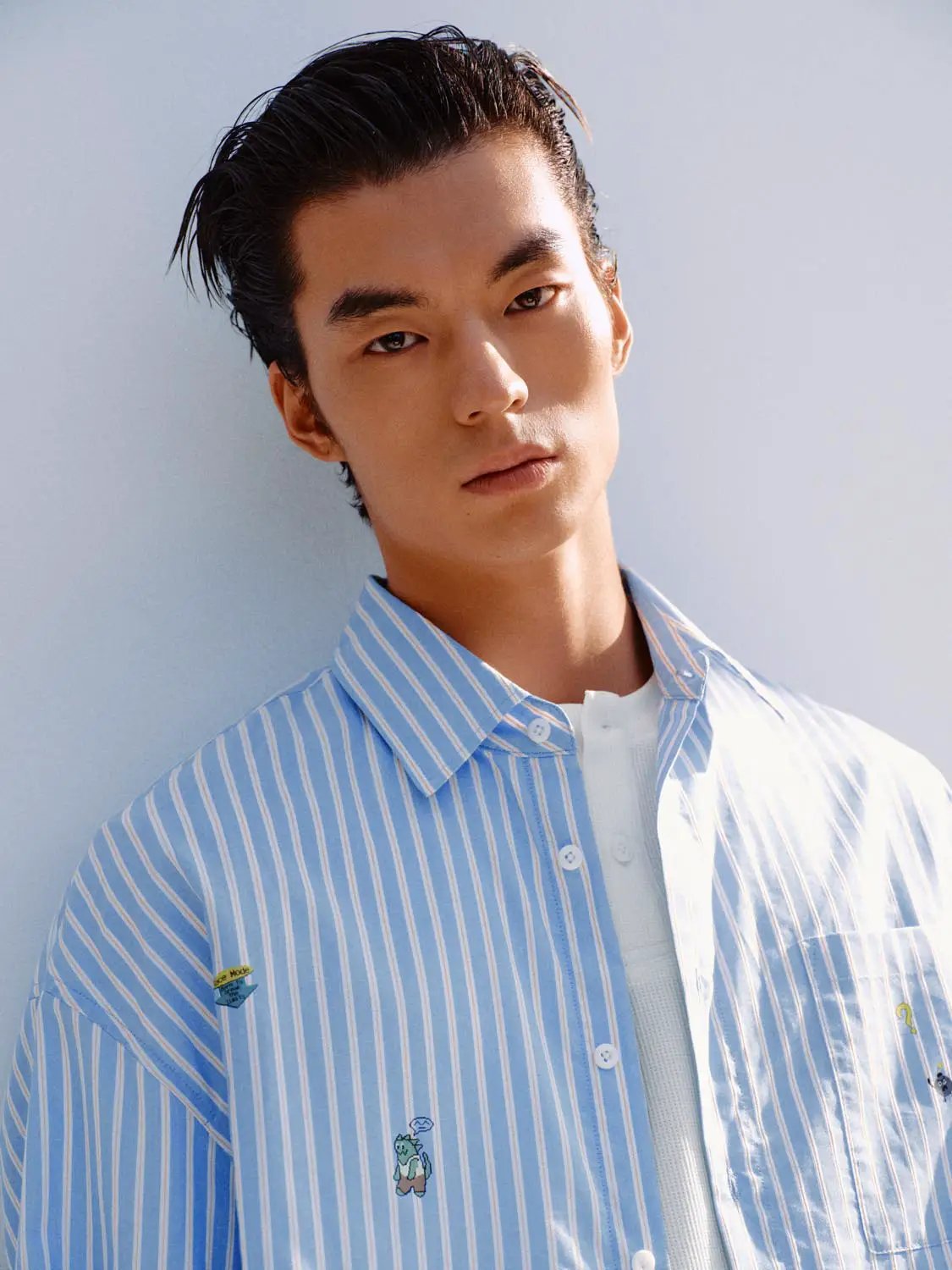 Vertical Striped Embroidered Cotton Shirt