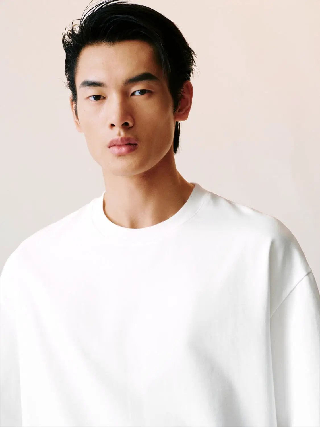 Oversized Boxy Cotton Crew Neck Relaxed T-shirt