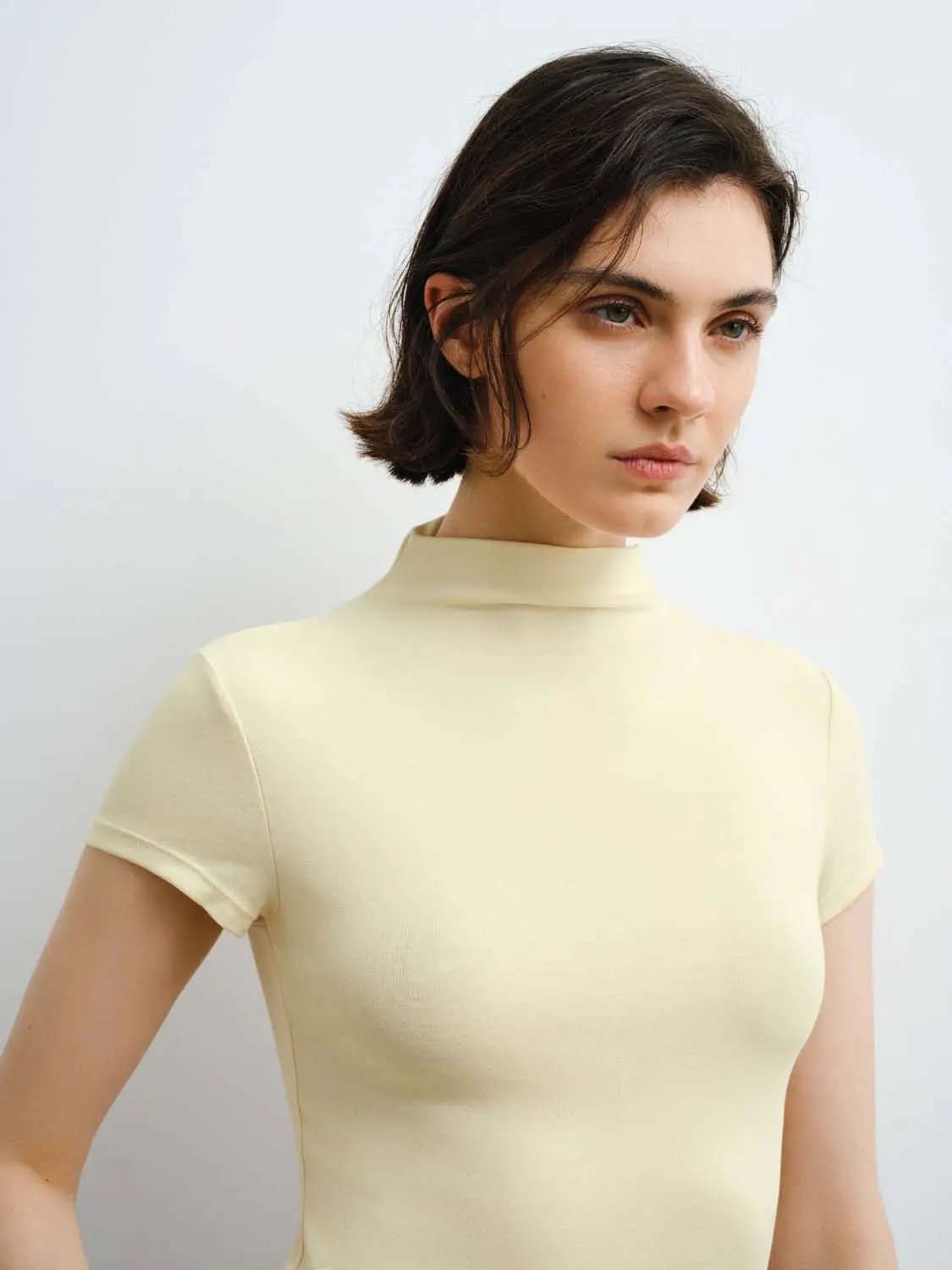 Mock Neck Short Sleeve Seamed Fitted Knit Top