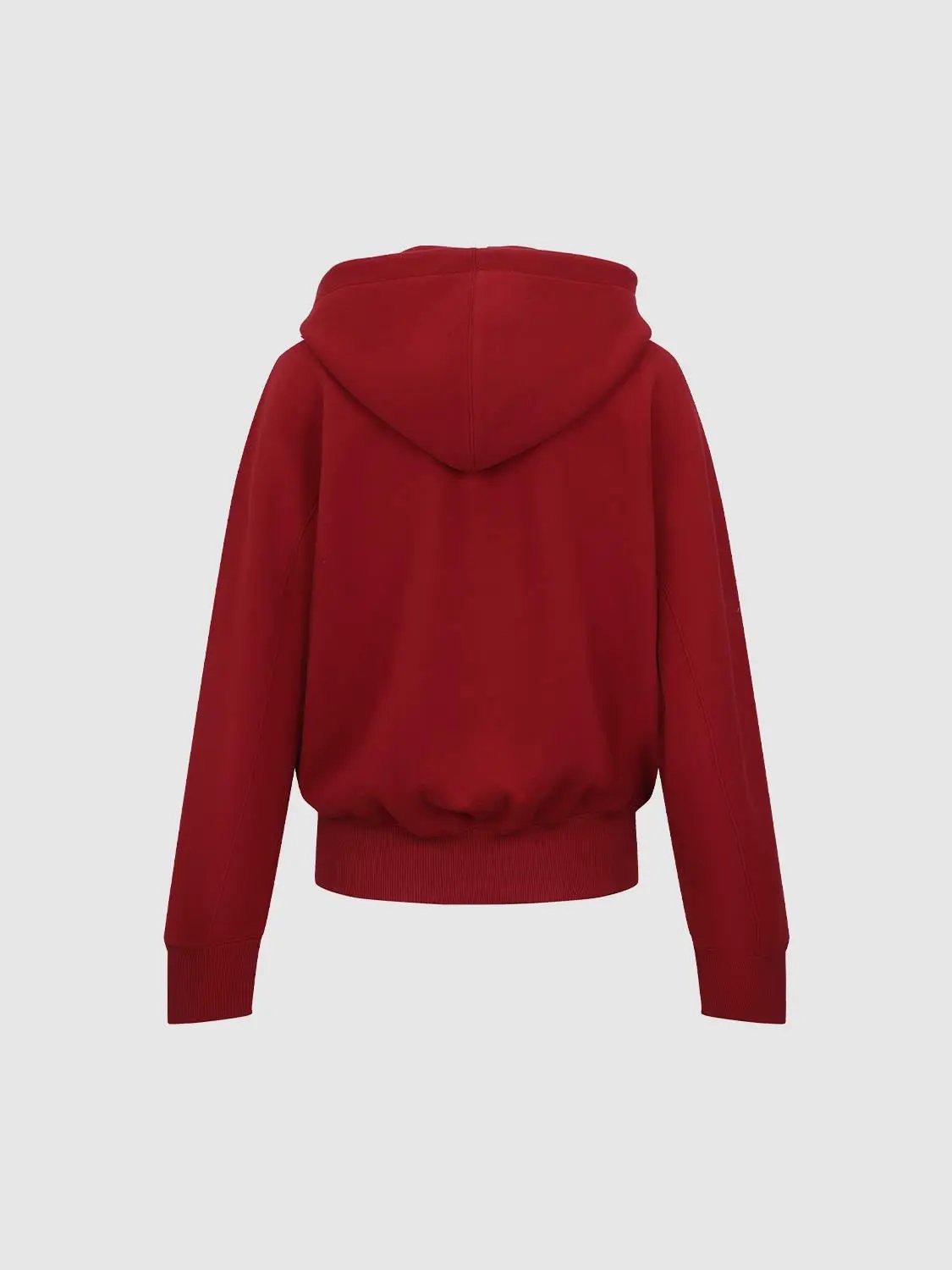 Zip Front Solid Ribbed Hem Hooded Long Sleeve Jacket