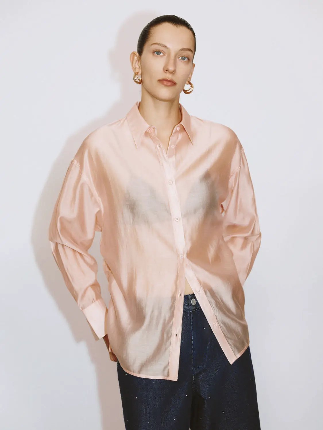 Point Collar Long Sleeve Button Front Sheer Loose Fit Shirt
