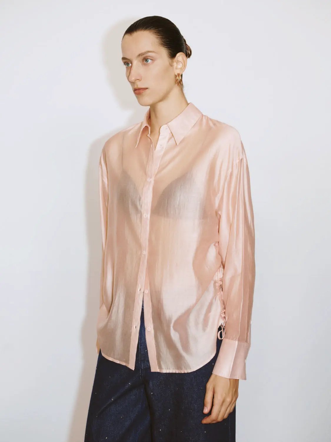 Point Collar Long Sleeve Button Front Sheer Loose Fit Shirt