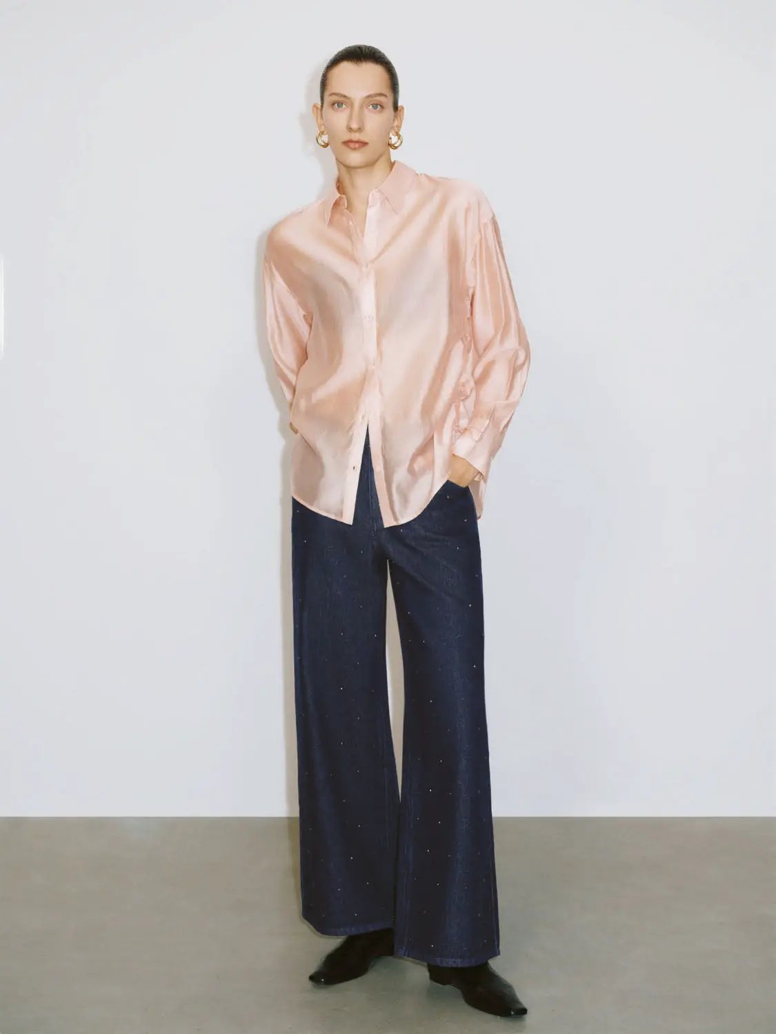 Point Collar Long Sleeve Button Front Sheer Loose Fit Shirt