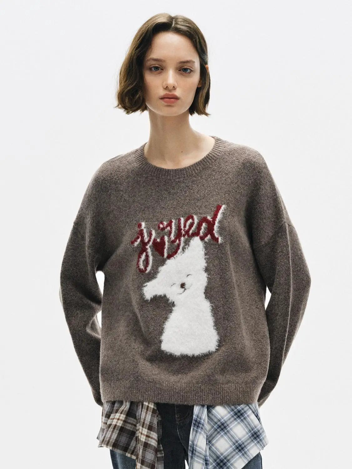Animal Graphic Oversized Crew Neck Long Sleeve Sweater