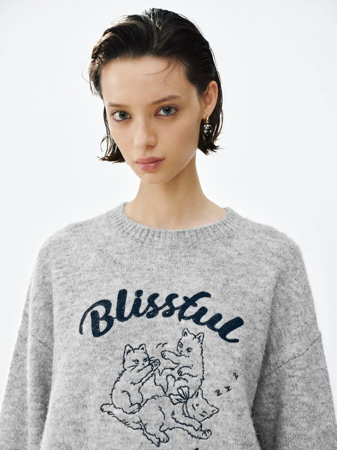 Graphic Print Crew Neck Long Sleeve Knit Sweater