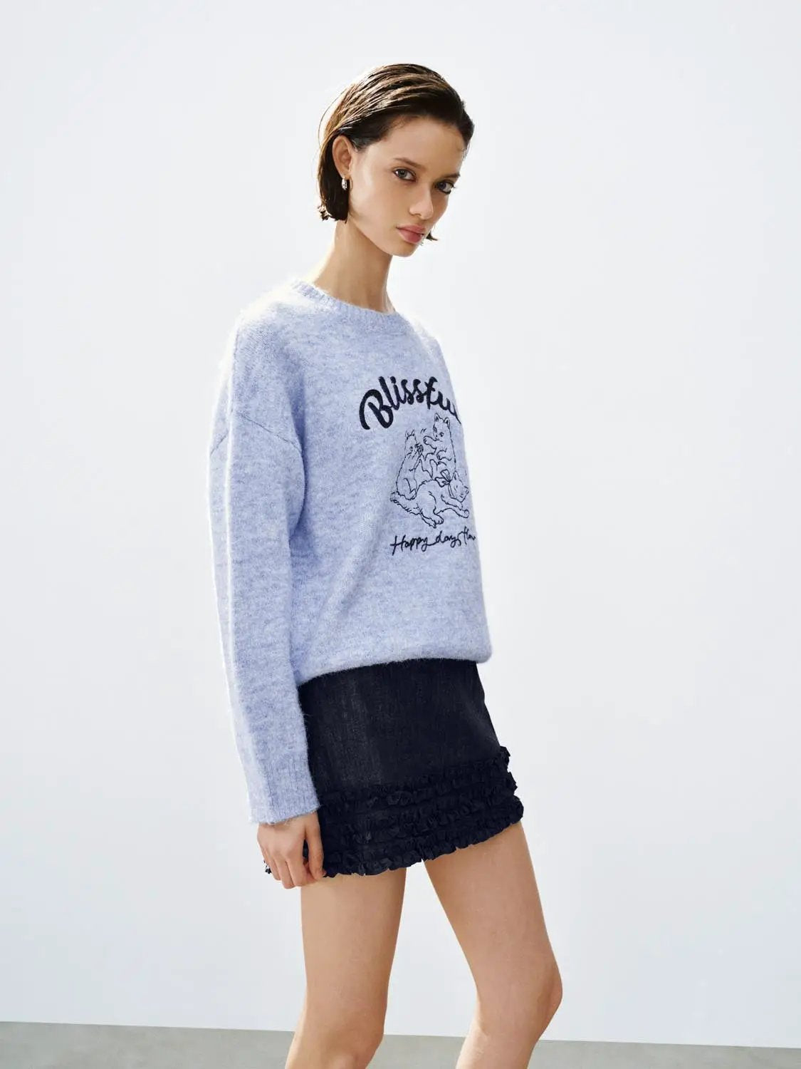 Graphic Print Crew Neck Long Sleeve Knit Sweater